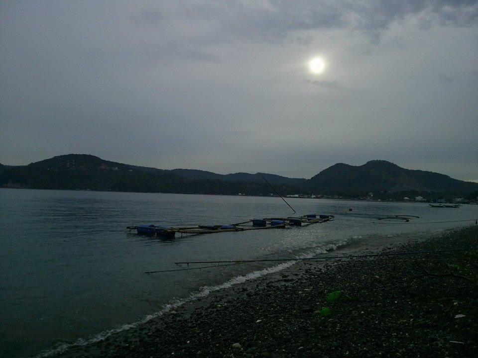 Anilao Scuba Dive Center Hotel Batangas Luaran gambar